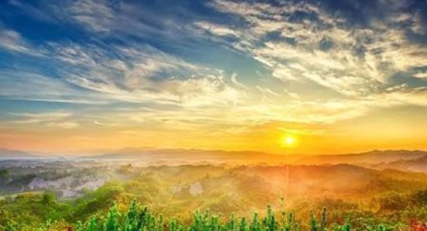 服务全矩阵 - 大象视频免费观看回家导航 - 一站式品牌传播服务全景展示
